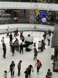 -震轩美容美发连锁店