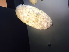 -W CAFE(甜爱路店)