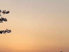 -商洛老君山旅游风景区