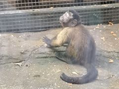 -长鹿旅游休博园