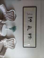 -爱莎扁平疣·汗管瘤·斑痣中心