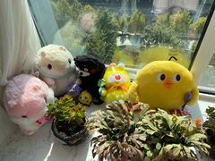 -LLJ夹机占(清河万象汇店)