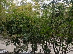 -故乡缘·香格里拉山庄(冷竹路店)