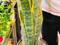 -双季花艺园艺市场(浦东店)
