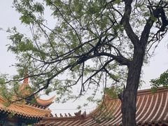 -戏马台景区
