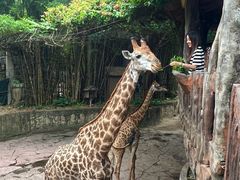 -长鹿旅游休博园
