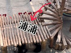 -沈阳森林动物园