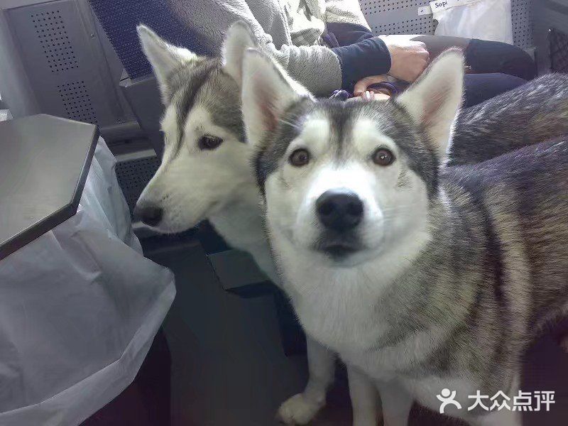 我来了，从斯德哥尔摩中央火车站坐火车一路向北