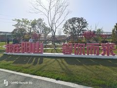 -老袁家蜜桃农场·阳山水蜜桃