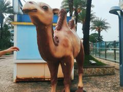 -大信·云顶星河游乐王国