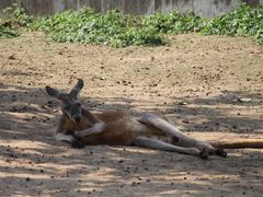 -西安秦岭野生动物园