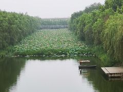 -赵州桥景区