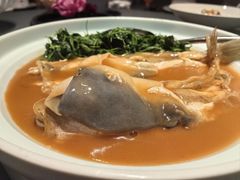 -沈灶河豚宴·河豚融合餐厅(汉中路店)