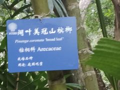-中国科学院西双版纳热带植物园
