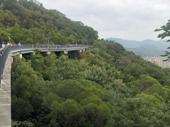 -金鸡山公园