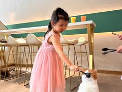 -飞行喵MR PILOT|猫舍·猫咖(静安大融城店)