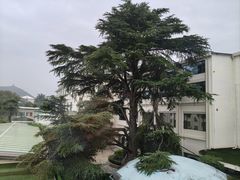 -济南南郊宾馆