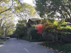 -西湖风景区-江洋畈生态公园
