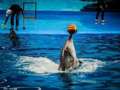 -石林冰雪海洋世界