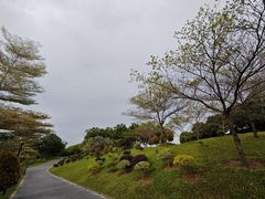 -东莞植物园