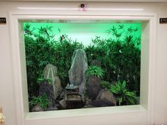 -首都医科大学附属北京天坛医院