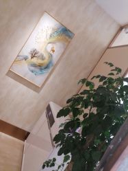 -诗媛嘉美健康管理中心(金桥店)