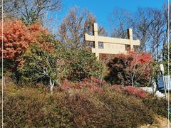 -南京老山国家森林公园