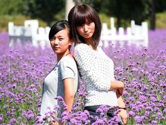 -紫海香堤香草艺术庄园