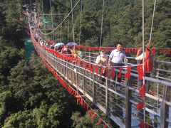 -九龙江国家森林公园