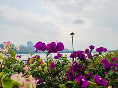 -NOTOOCAFE不二咖啡馆(岩前店)