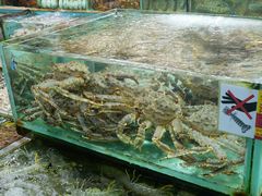 -全记海鲜菜馆(海傍街店)