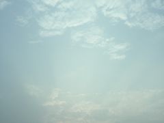 -王妈手撕烤兔