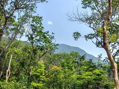 -梧桐山风景名胜区