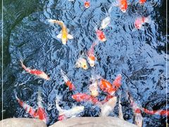 -云溪植物园