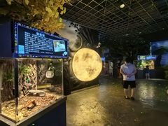 -顺德南宏海立方海洋公园