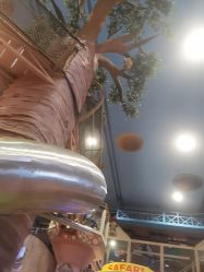 点击看大图 -卡通尼·Safari非洲探索乐园·生日会(金桥国际商业广场店)