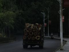-孔雀湖生态旅游区