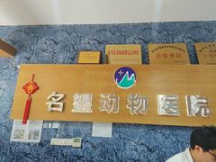 -瑞派名望志远动物医院·猫科·內科·异宠专科(直港大道店)