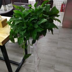 -MOKA SALON