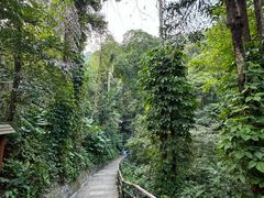 -鼎湖山风景区