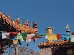 -大召无量寺