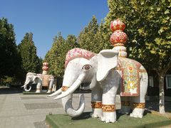 -永定河休闲森林公园