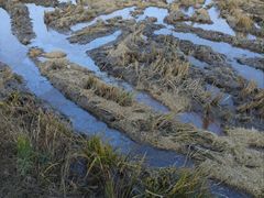 -溪口-滕头旅游景区