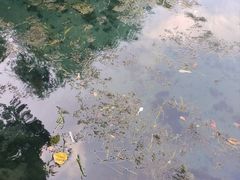 -南京珍珠泉风景区