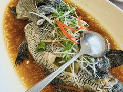 -骏莱海鲜鱼港(五角场店)