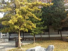 -苏州文庙(姑苏区)