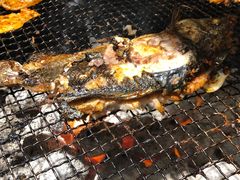 -五彩凉山自助西昌烧烤(柳翠路店)