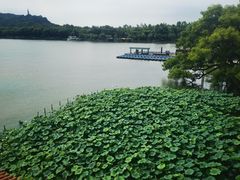 -湖畔居茶楼(湖滨店)
