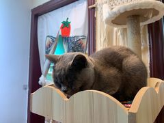 -觅时光手作·香薰·拼豆豆·陶艺DIY