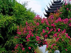 -韩湘水博园